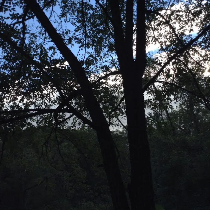 Ponderosa Mobile Home Park Picture 3