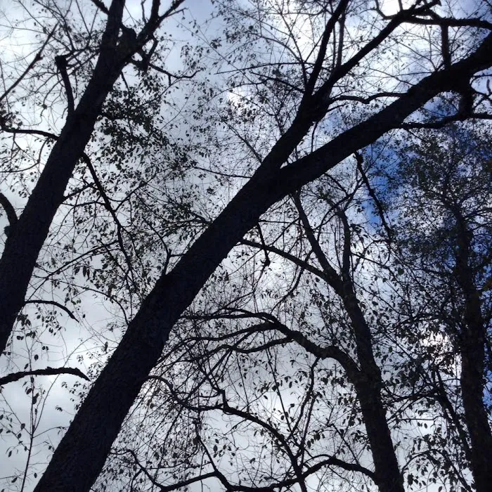 Ponderosa Mobile Home Park Picture 4