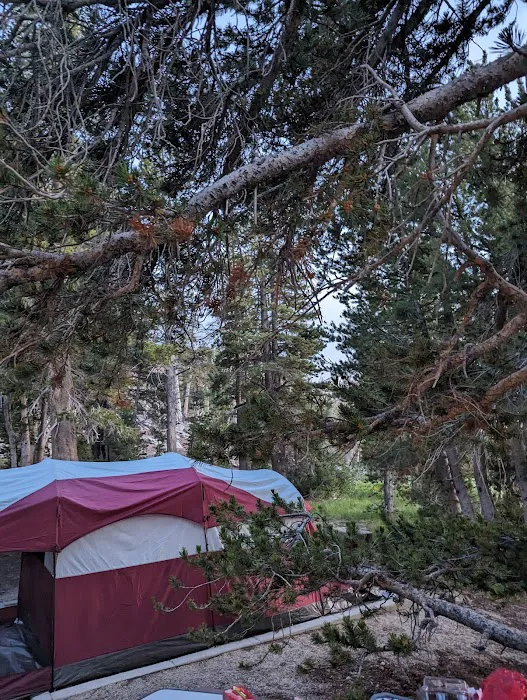 Mt. Rose Campground Picture 4