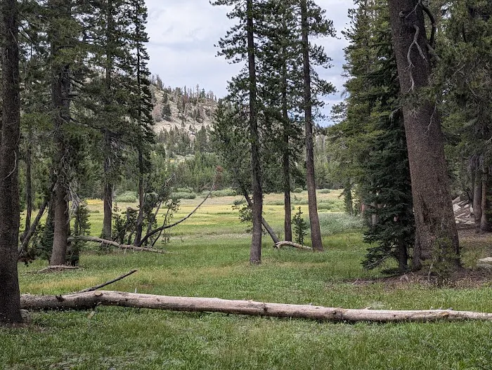 Mt. Rose Campground Picture 10