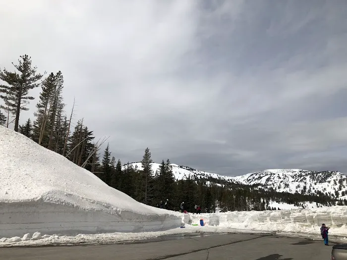 Mt. Rose Campground Picture 2