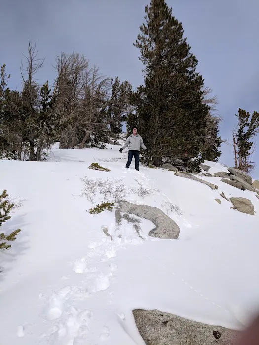 Mt. Rose Campground Picture 9