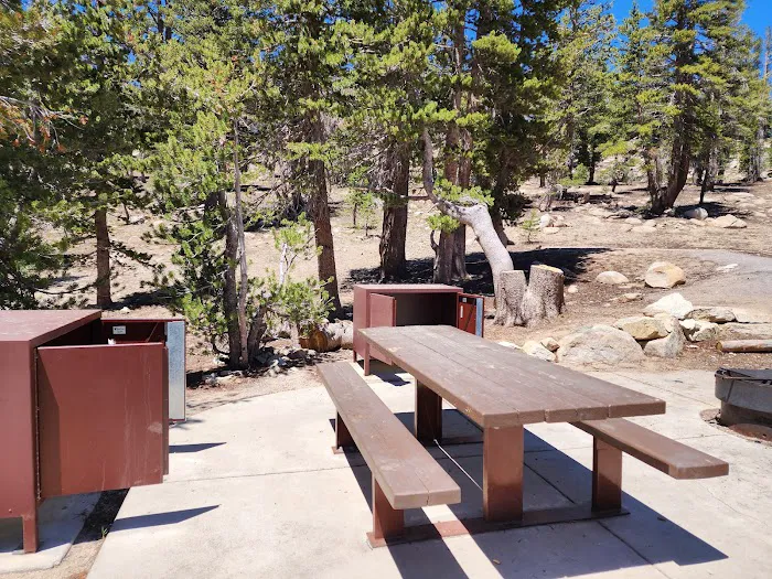 Mt. Rose Campground Picture 1