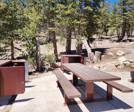 Mt. Rose Campground