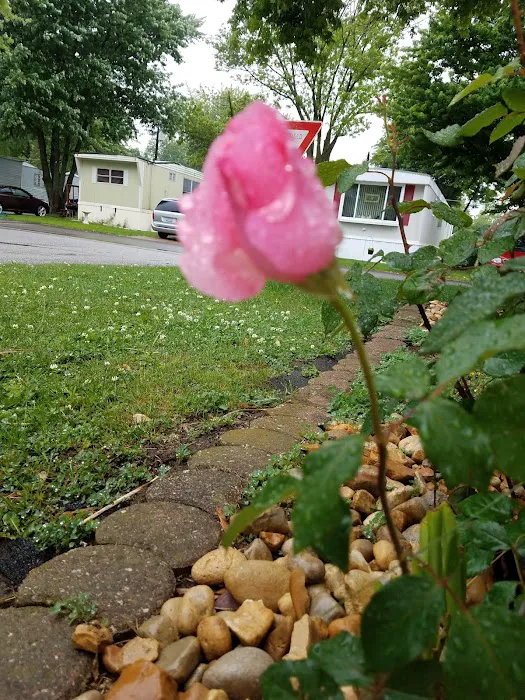 Woodland Park, A Hauck Homes Neighborhood Picture 6