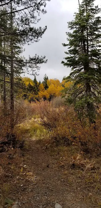 Watson Lake Picture 2