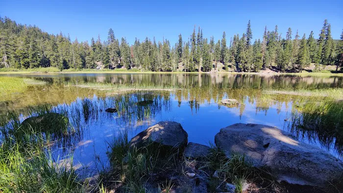 Watson Lake Picture 8