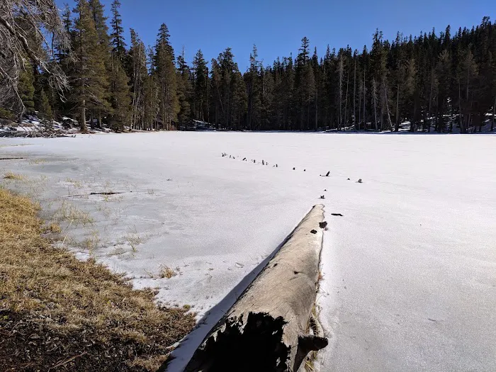 Watson Lake Picture 6
