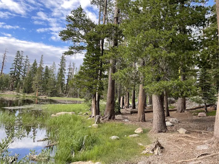 Watson Lake Picture 9