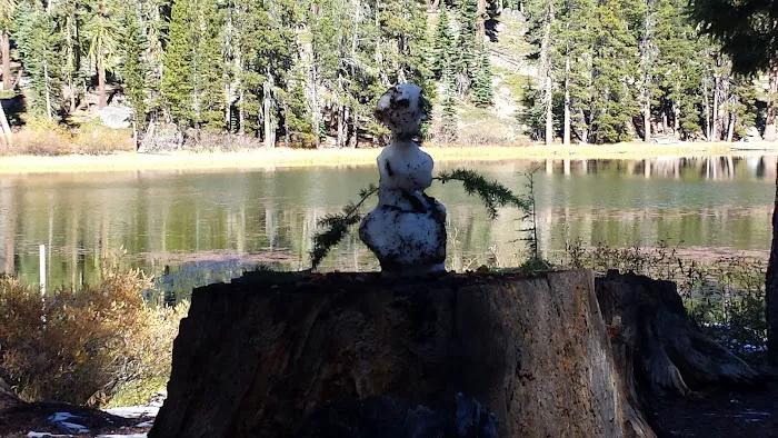Watson Lake Picture 7