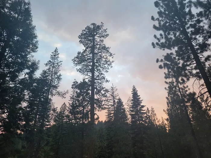 Gates Group Campground Picture 4