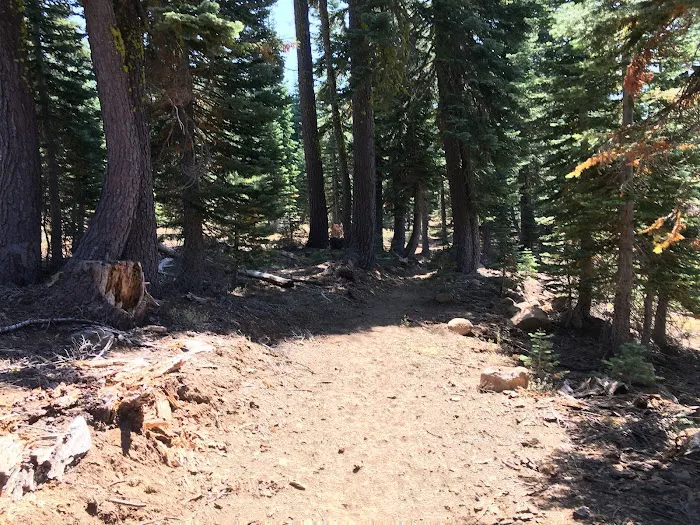 Coyote Group Campground Picture 10