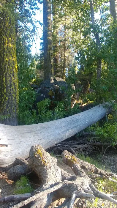 Black Bear Campground Picture 5