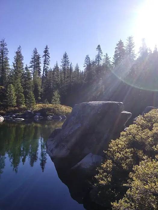 Black Bear Campground Picture 8