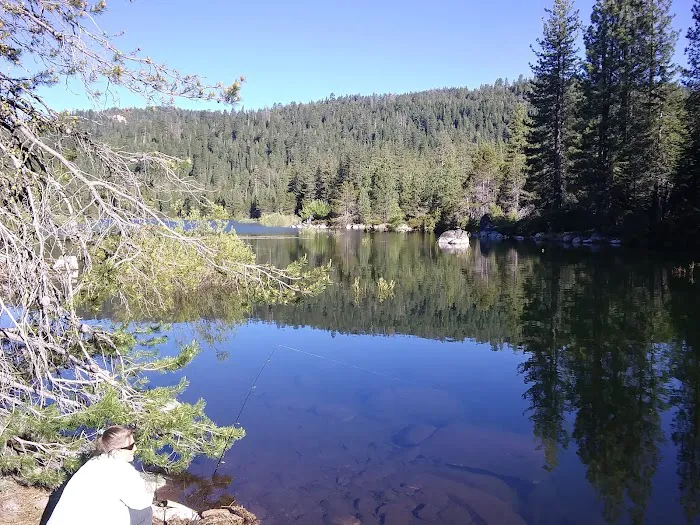 Black Bear Campground Picture 9