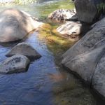 Black Bear Campground