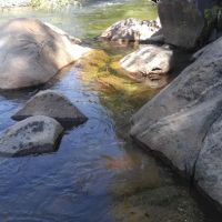 Black Bear Campground ico