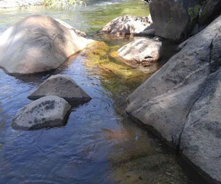 Black Bear Campground