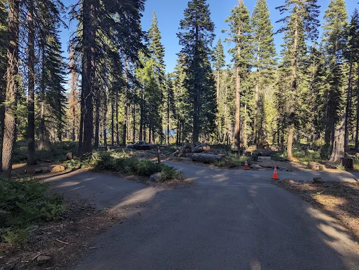 Lewis At French Meadows Picture 10