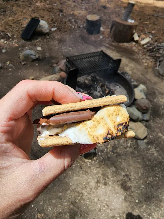 Lewis At French Meadows Picture 4