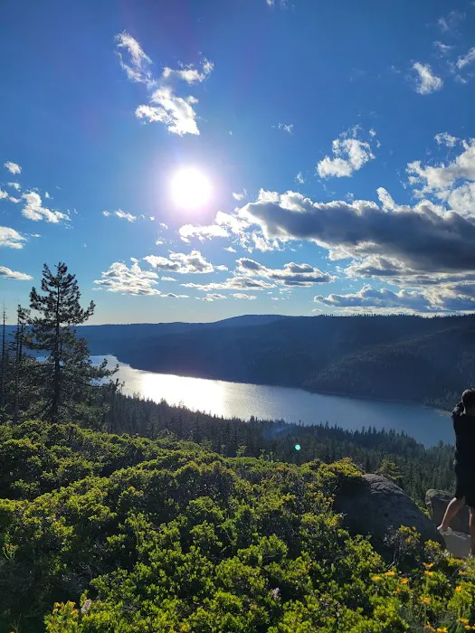 Lewis At French Meadows Picture 3