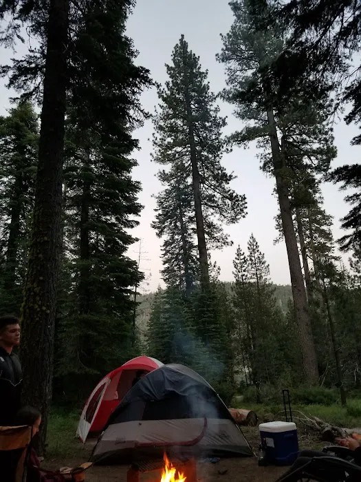 Lewis At French Meadows Picture 6