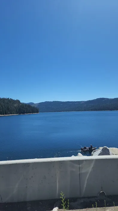 Lewis At French Meadows Picture 1