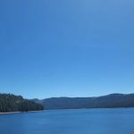 Lewis At French Meadows