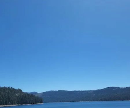 Lewis At French Meadows