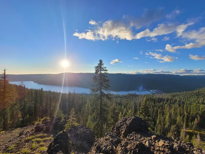 Lewis At French Meadows Picture 5