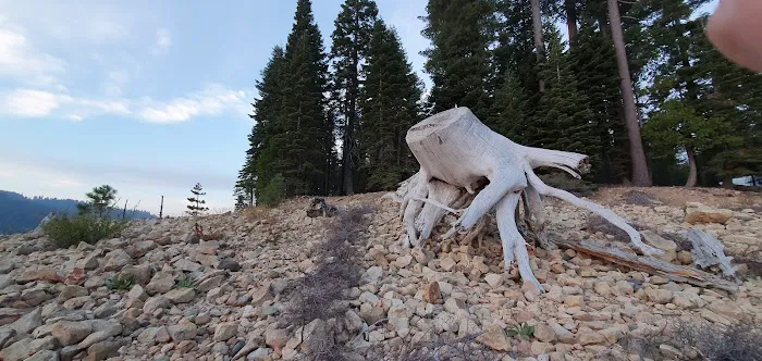 French Meadows Campground Picture 10