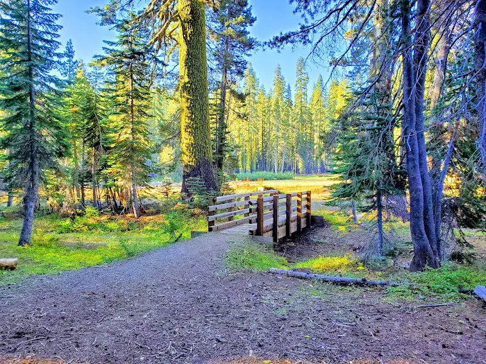 Robinsons Flat Campground Picture 9