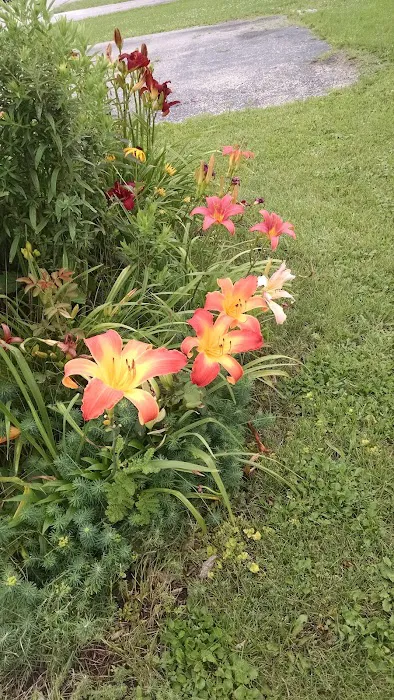 Evansville Mobile Home Park Picture 6