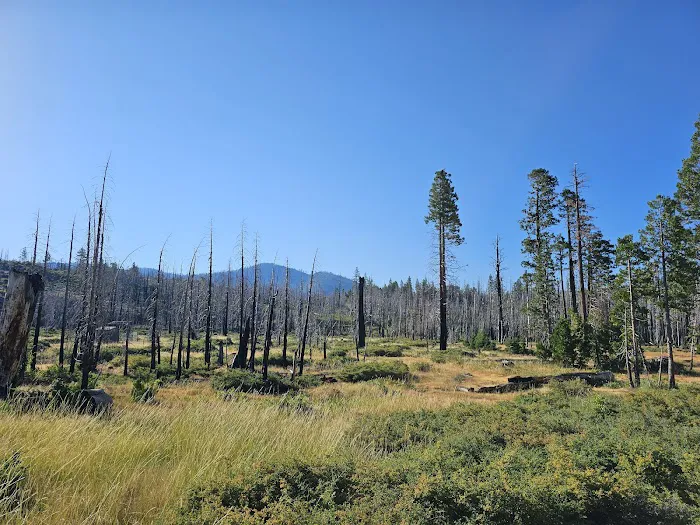 Big Meadows Campground Picture 1