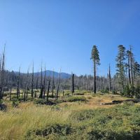 Big Meadows Campground ico