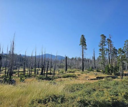 Big Meadows Campground