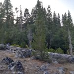 Hell Hole Campground