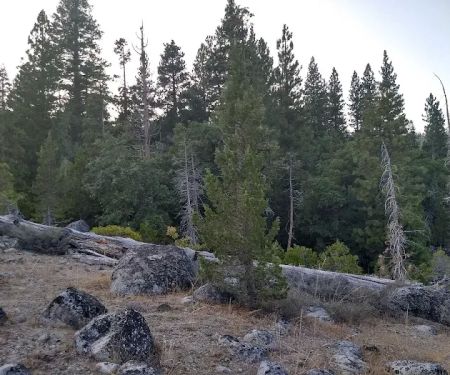 Hell Hole Campground