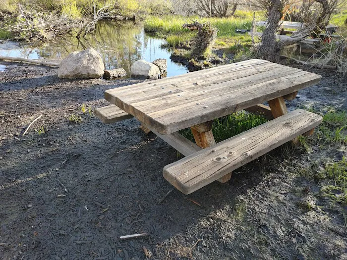 Lake Forest Campground Picture 5