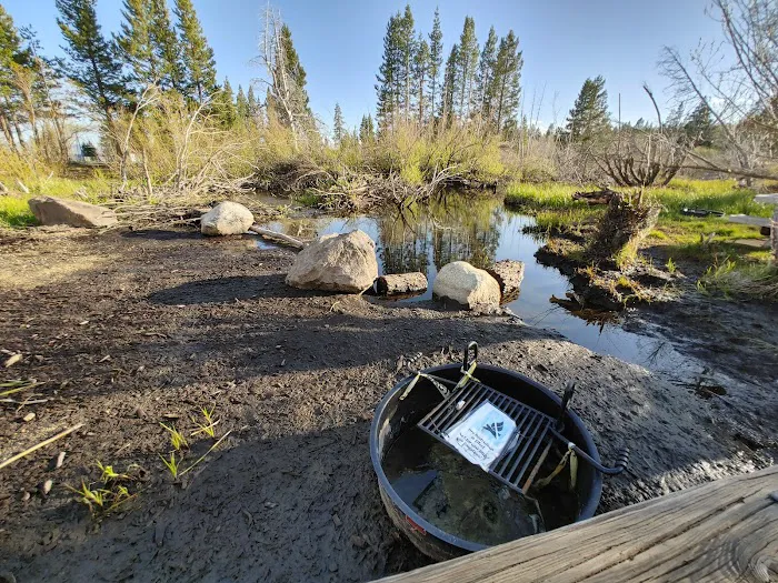Lake Forest Campground Picture 9