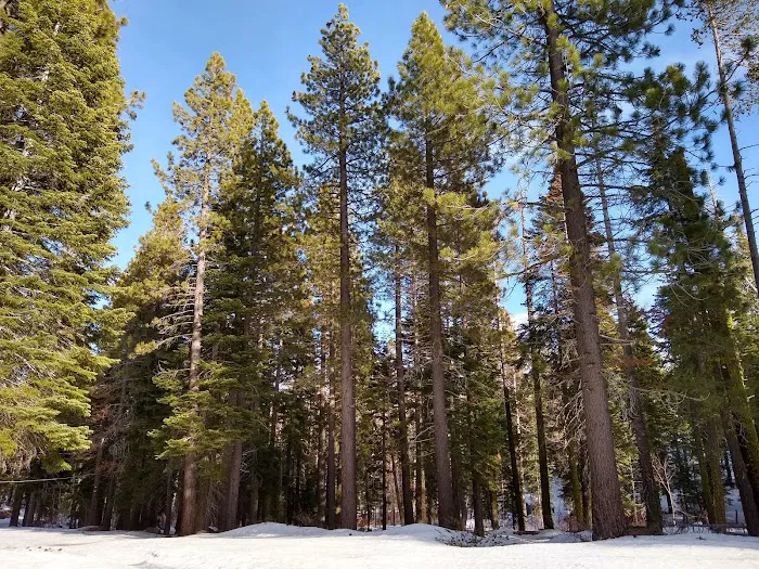 Kaspian Recreation Area Picture 3