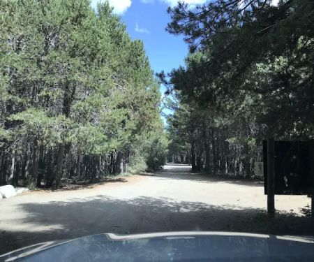 Blackwood Canyon OHV Staging Area