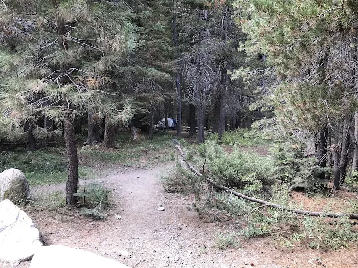 Blackwood Canyon OHV Staging Area Picture 5