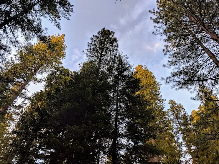Big Reservoir Campground Picture 4