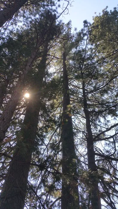 Big Reservoir Campground Picture 3