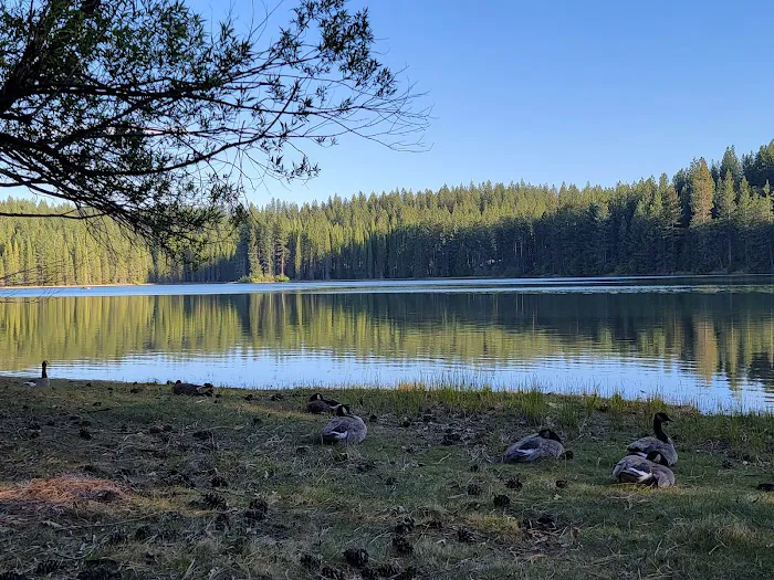 Big Reservoir Campground Picture 8