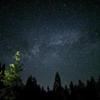 Morning Star Lake Campground ico