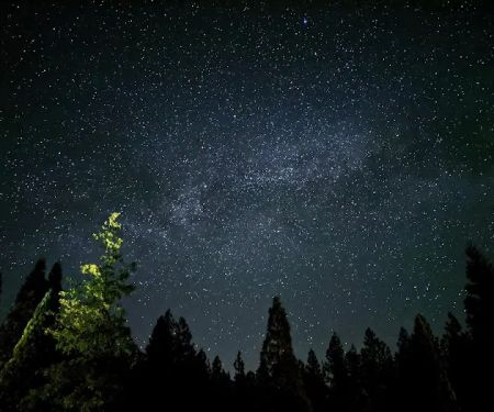Morning Star Lake Campground
