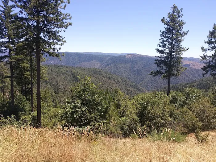 Morning Star Lake Campground Picture 8
