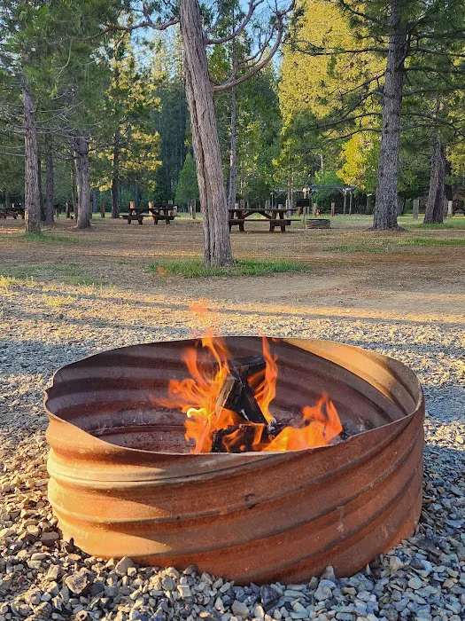 Morning Star Lake Campground Picture 4